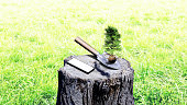 Shovels, saplings and smartphones on grassland stumps