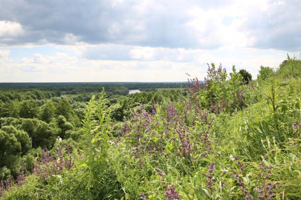 istock Summer landscape in the river valley. 1327199104