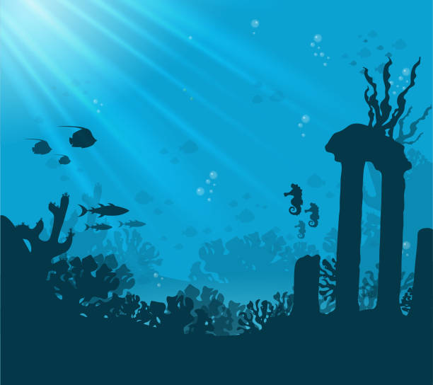 istock Silhouette of coral reef with fish and scuba diver on a blue sea background. 1327202528