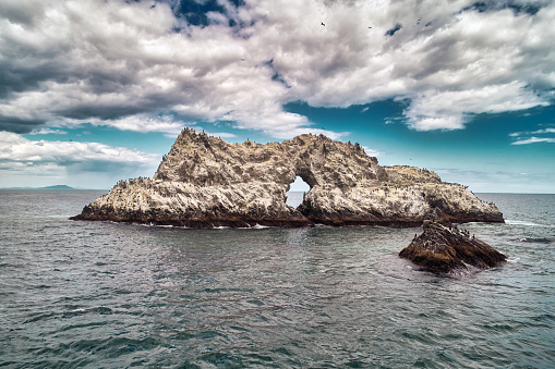 Bird Island near the Pacific coast in Kamchatka