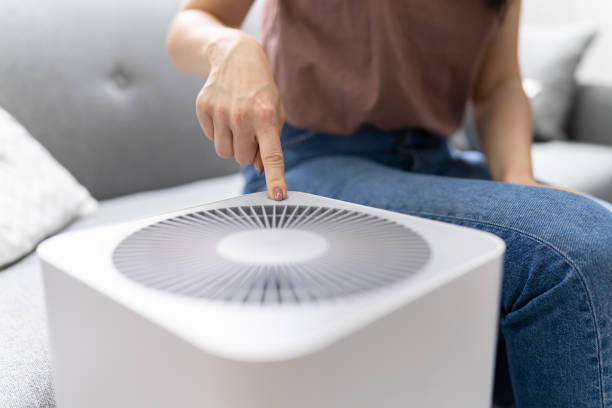 istock Woman In Living Room Using Air Cleaner 1327204432