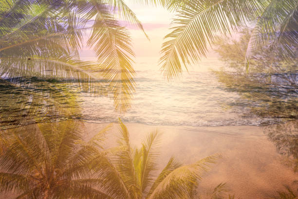 istock Abstract sunset beach, tropical summer, evening beach with coconut tree 1327208254