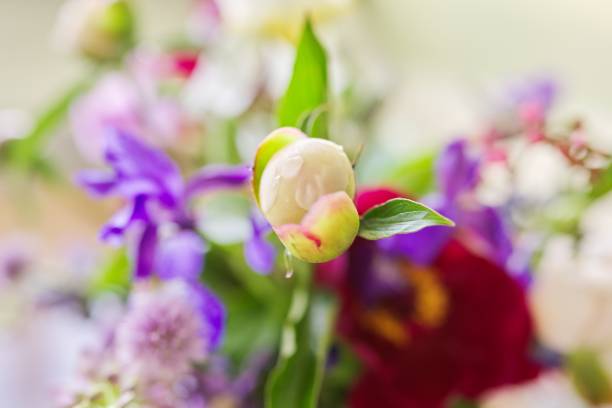 istock Abstract multicolored floral background texture, close-up flowers and buds 1327208898