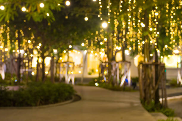 istock Blurred image Decorative outdoor string lights hanging on tree in the garden at night time 1327209064