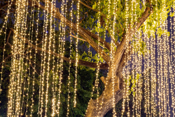 istock Blurred image Decorative outdoor string lights hanging on tree in the garden at night time 1327209067