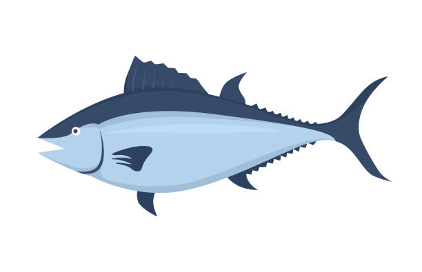Cartoon Of A Bluefin Tuna Illustrations, Royalty-Free Vector Graphics &  Clip Art - iStock