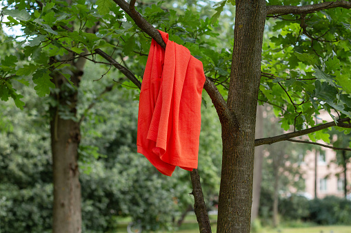 Orange t-shirt hanging on a tree branch in a summer green park