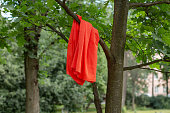 Orange t-shirt hanging on a tree branch