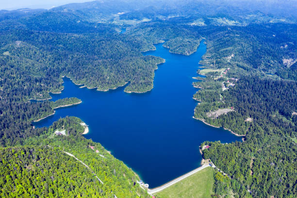 lokve lake - coastline aerial view forest pond imagens e fotografias de stock