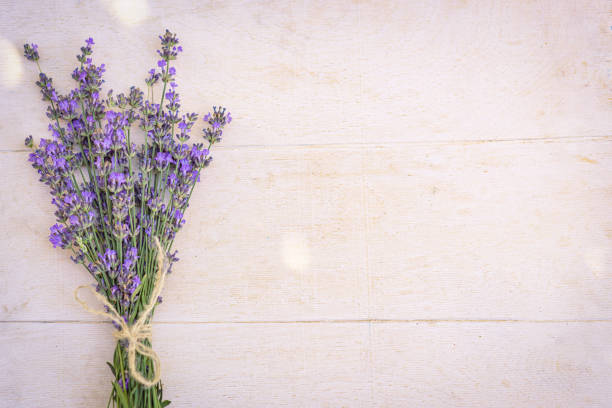 Bundle of bound lavender flowers on a white wooden background