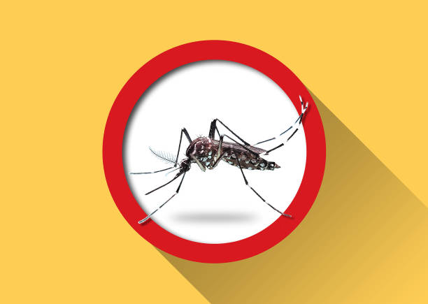 Close up Mosquito and Red sign.