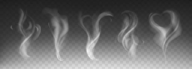 Steam smoke set with heart and swirl shape Steam smoke realistic set with heart and swirl shape on dark transparent background. White fume waves of hot drink, coffee, cigarettes, tea or food. Mockup of flow mist swirls. Fog effect concept. fumes stock illustrations
