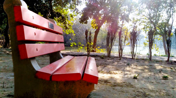 istock Green park tree outdoor with bench sunlight in india 1327216004