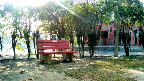 istock Green park tree outdoor with bench sunlight in india 1327216011