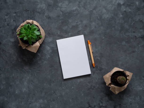 istock White blank notebook mockup dark background flat lay. Minimal work space sketchbook, paper pen, green plant top view. 1327217960