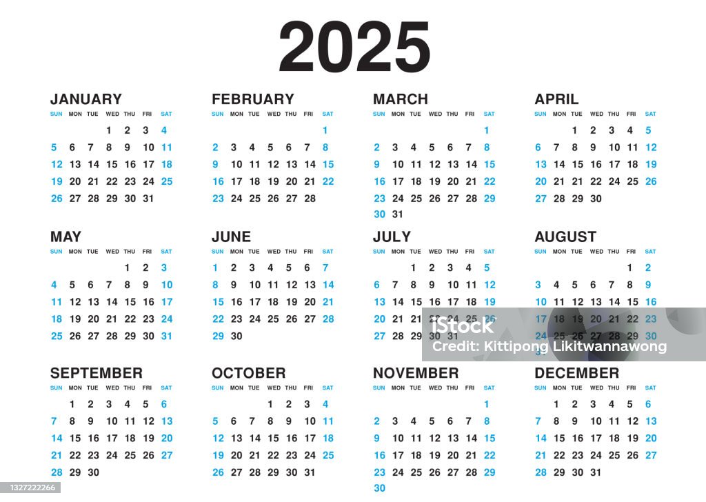 calendar-2025-template-vector-simple-minimal-design-planner-2025-year-wall-calendar-2025-year
