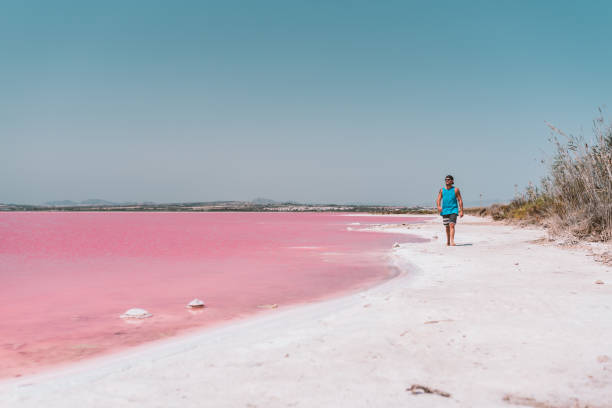 istock Man walking along beach near pink sea 1327231702