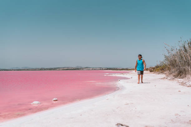 istock Man walking along beach near pink sea 1327231705