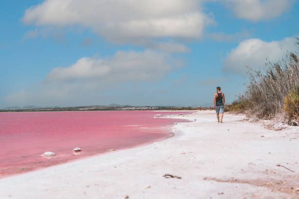 istock Man walking along beach near pink sea 1327231710