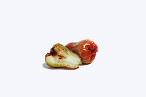 istock Rotten rose apple, cut in half Scientific name Syzygium samarangense. 1327234382