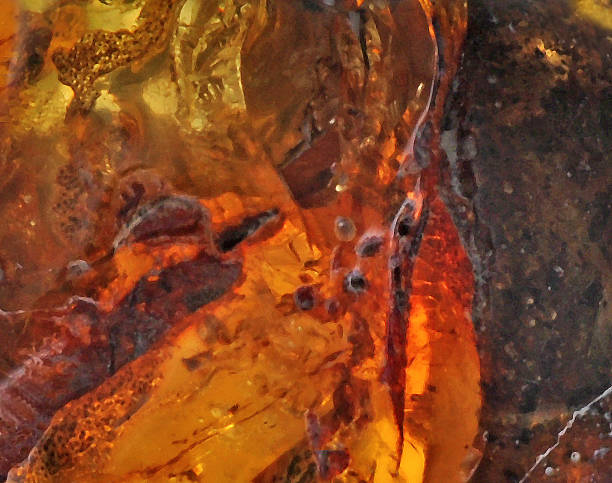 istock Polished, beautiful Baltic amber fossil 1327235142