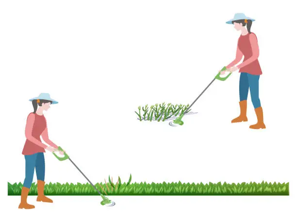 Vector illustration of Weeding with a lawn mower