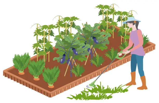 Vector illustration of Weeding with a lawn mower