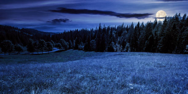 istock mountainous countryside panorama at night 1327237446