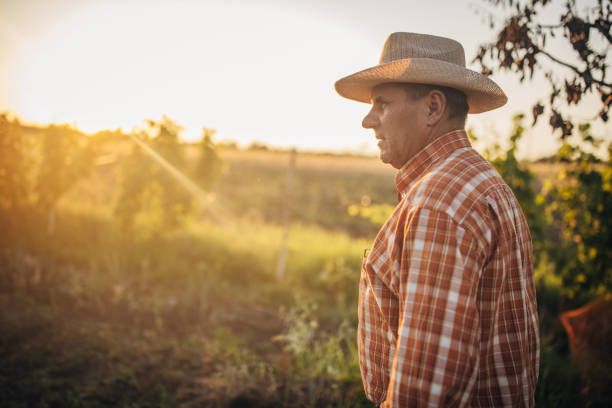 istock Farmer outdoors in the field 1327238202
