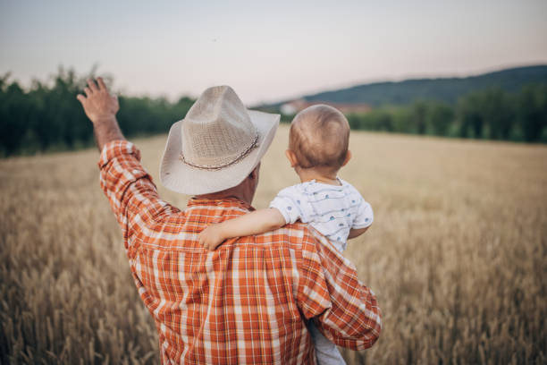 istock An old farmer is standing in a grain field 1327238812