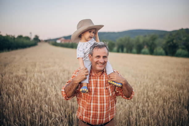 istock An old farmer is standing in a grain field 1327238919