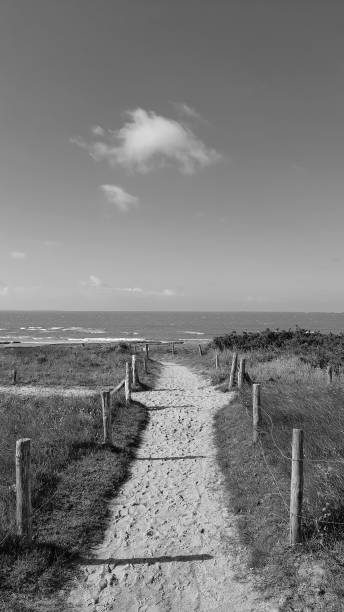 istock On the way to ocean 1327242237