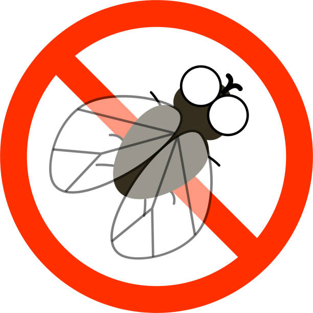 This is an illustration of a mark to eliminate flies. This is an illustration of a mark to eliminate flies. black fly stock illustrations