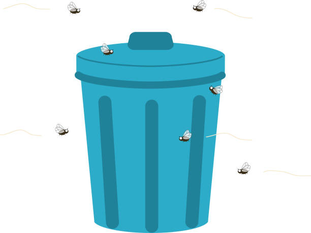 This is an illustration of a fruit fly flying around a trash can. This is an illustration of a fruit fly flying around a trash can. black fly stock illustrations