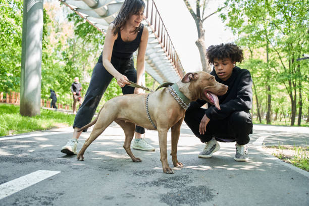 istock Dog looking away while spending time with her owners at the street 1327252026