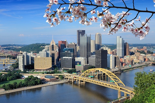Spring in Pittsburgh city, Pennsylvania. Pittsburgh skyline with cherry blossoms.