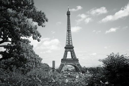 A dramatic black and white picture of the Eiffel Tower viewed from the Seine.