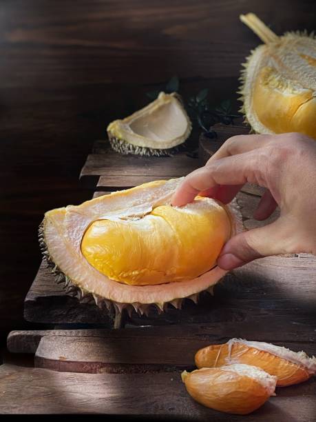 istock A hand holding durian black thorn 1327263401
