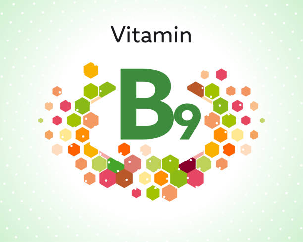 witamina b9 - vitamin pill capsule pill echinacea stock illustrations