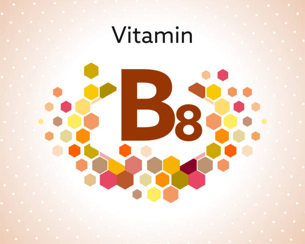 witamina b8 - vitamin pill capsule pill echinacea stock illustrations