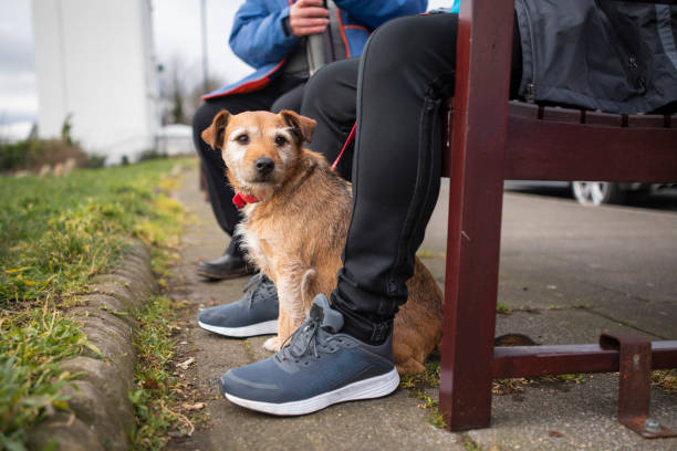 istock Relaxing At The Coast With The Dog 1327266046