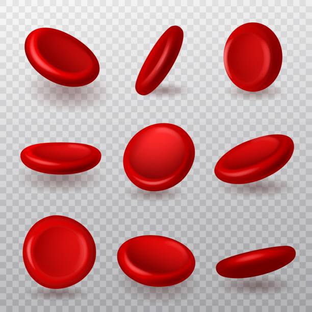 ilustrações de stock, clip art, desenhos animados e ícones de red blood cells. realistic 3d erythrocytes different angles collection, donor components, microscope magnified hemoglobin, biconcave shape. health care vector isolated set - red blood cell