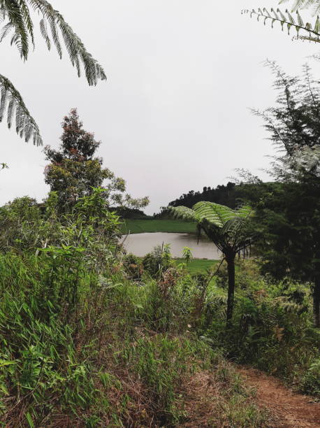 istock Lake on the hill 1327267104