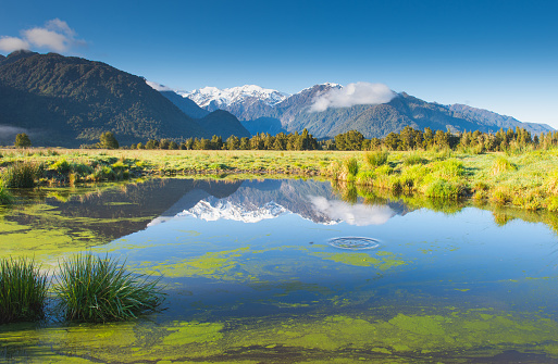 Beautiful scenery landscape of Fox Glacier town Southern Alps Mountain Valleys New Zealand