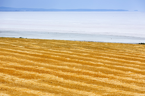 Plowed Fields at Salt Lake at Turkey