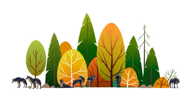 Vector illustration of Wolf pack in the forest. Timber wolves hunt. Landscape, Green trees park, alley and foliage in summer with animals. Row of trees and shrubs. Cartoon vector illustration isolated on white background