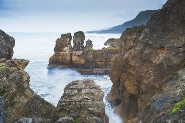 A wide-view shot green environment of the abstract Pancake Rocks in Punakaiki, South Island, New Zealand.