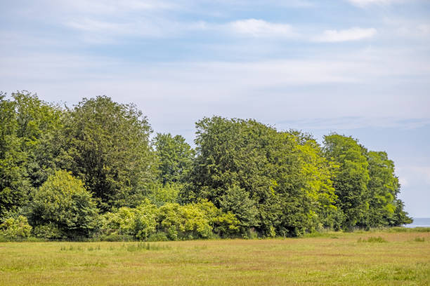 istock Natural hedge in an agricultural landscape 1327277689