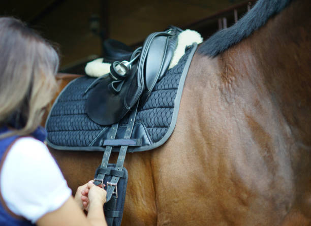 istock Woman putting on belt on a horse. 1327285085