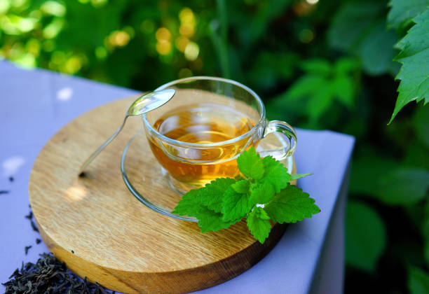 Cup of tea with mint Glass cup of tea with mint on wooden plate. Breakfast time. Morning background. Hot drink mint tea stock pictures, royalty-free photos & images